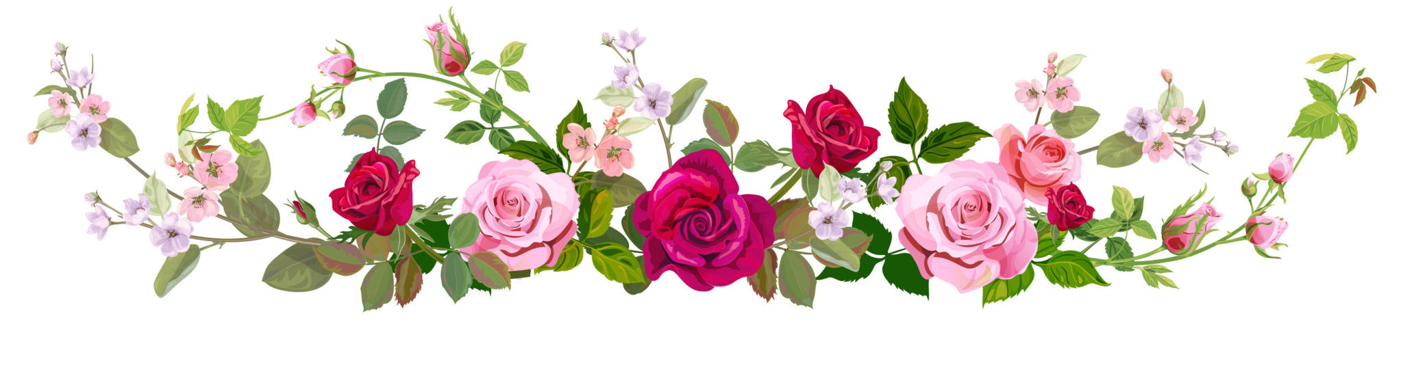 Panoramic view: bouquet of roses, spring blossom. Horizontal border ...