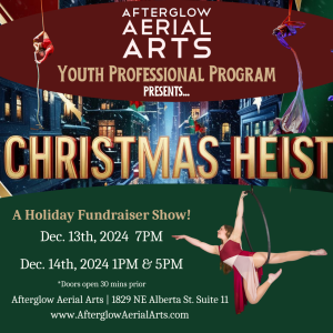 Aerial acrobatics student showcase 2024